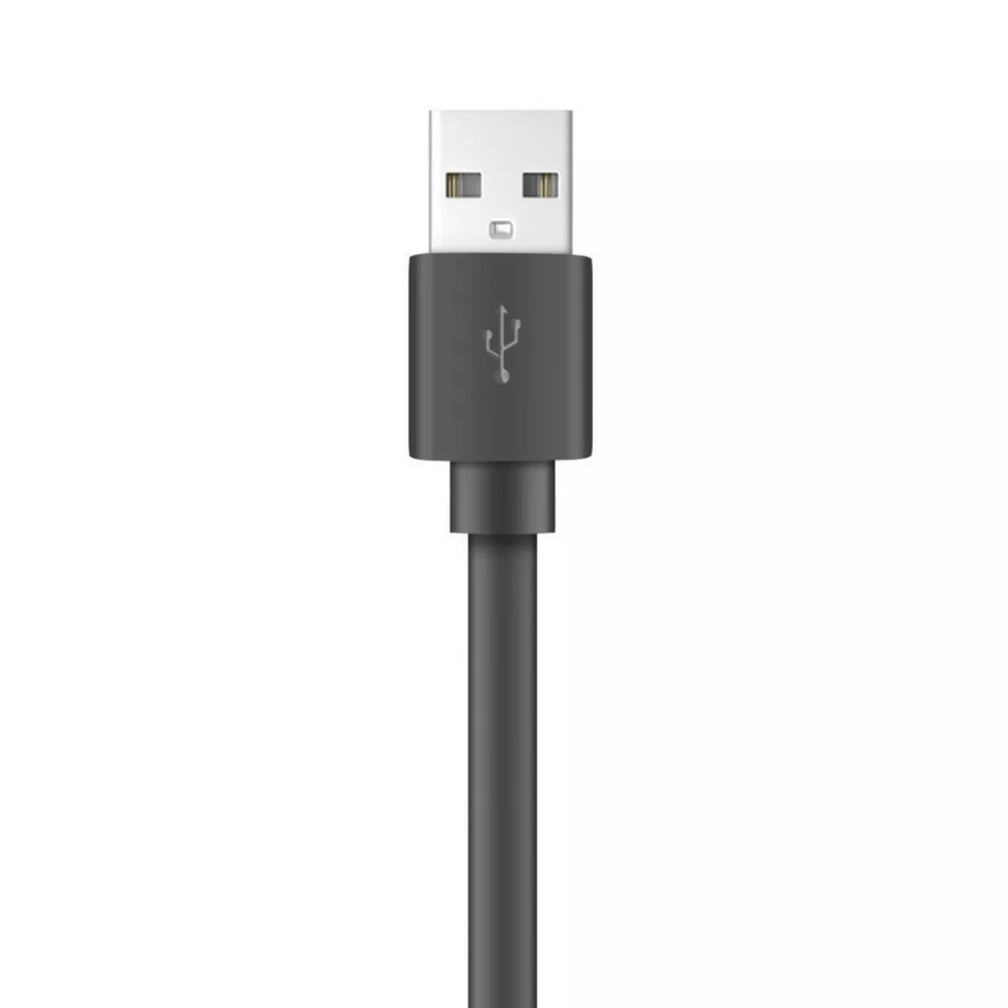 câble plat USB vers USB-C XYST